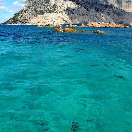Le Isole Di San Teo San Teodoro (Sardinia)